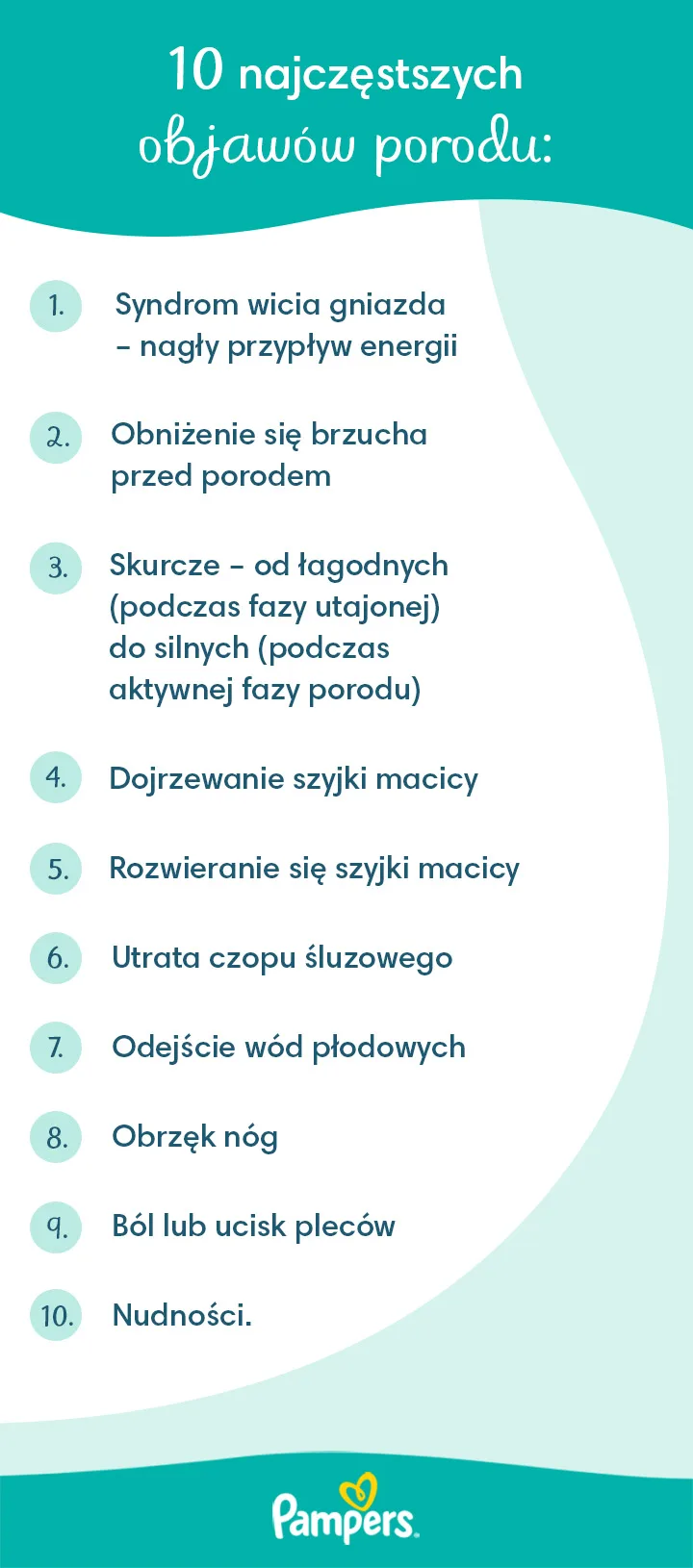 pampers premium care czym się różnią od zwykłych