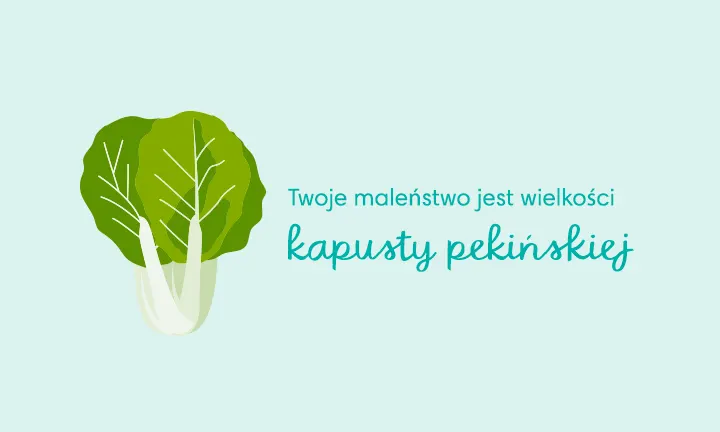 pieluchy jednorazowe tlumaczenie niemiecki