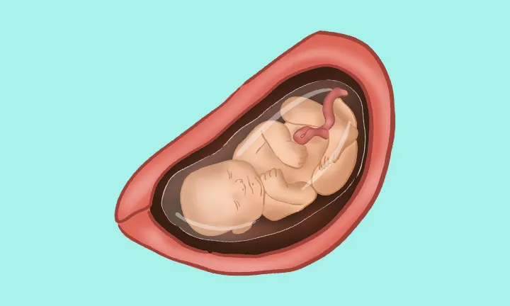 pieluchomajtki seni dla dorosłych 10 sztuk