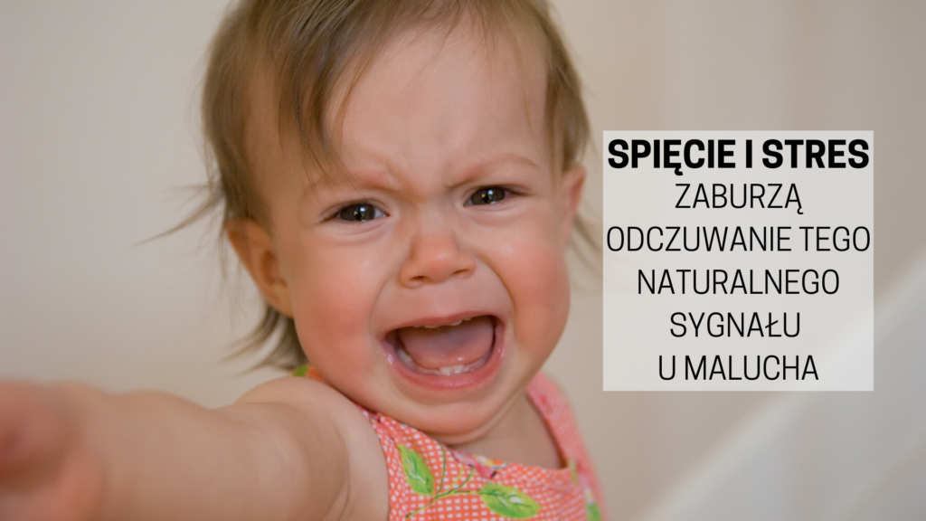 ślub miesiączka pampers