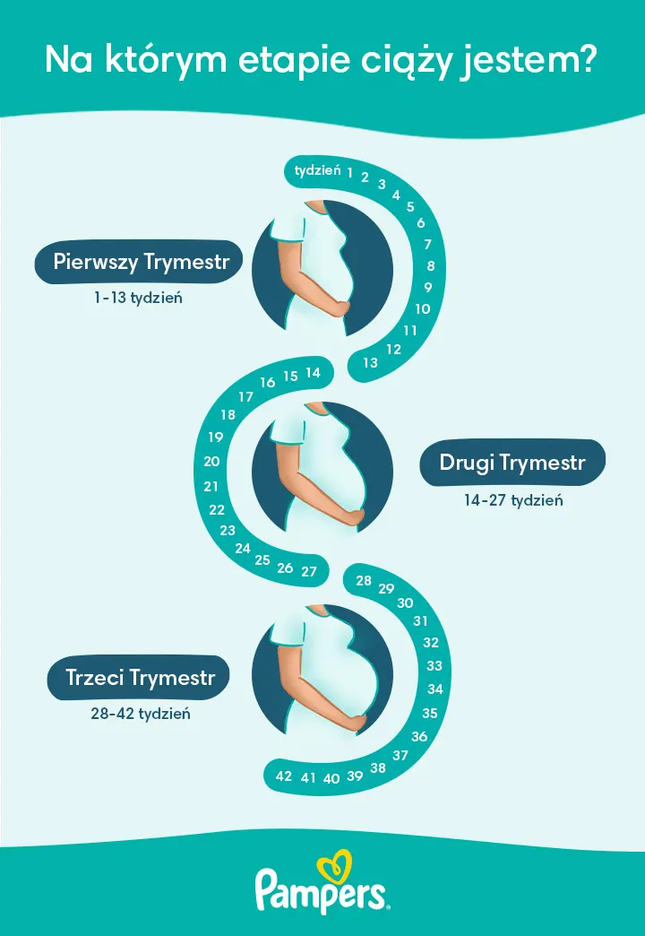 pampers procare vs premium