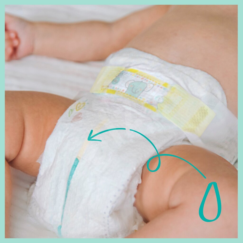 pampers premium care 2 240 sztuk cena