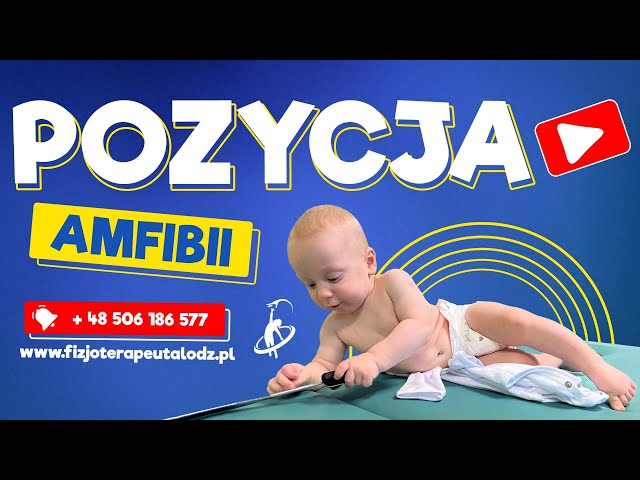 angelcare kosz na pieluchy ceneo