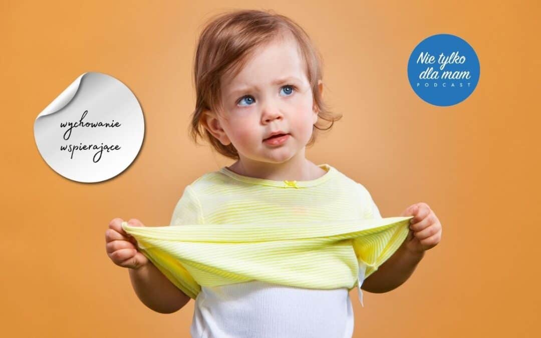 pampers pant promocja